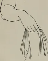 An illustration from Modelling; a guide for teachers and students (1902)