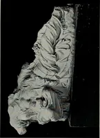 Picture 51 of 128 from Modelling; a guide for teachers and students (1902), leaf 120