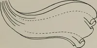 Picture 59 of 128 from Modelling; a guide for teachers and students (1902), leaf 134