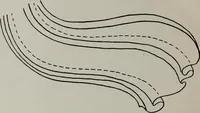 Picture 60 of 128 from Modelling; a guide for teachers and students (1902), leaf 135