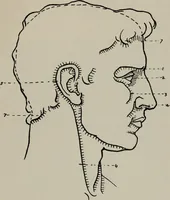 An illustration from Modelling; a guide for teachers and students (1902)