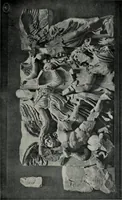 Picture 95 of 128 from Modelling; a guide for teachers and students (1902), leaf 200