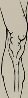An illustration from Modelling; a guide for teachers and students (1902)