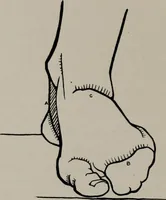 An illustration from Modelling; a guide for teachers and students (1902)