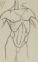 An illustration from Modelling; a guide for teachers and students (1902)