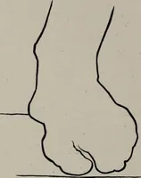 An illustration from Modelling; a guide for teachers and students (1902)