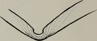 Picture 18 of 128 from Modelling; a guide for teachers and students (1902), leaf 55