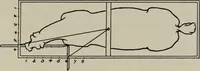 An illustration from Modelling; a guide for teachers and students (1902)