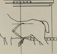 An illustration from Modelling; a guide for teachers and students (1902)