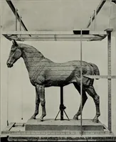 An illustration from Modelling; a guide for teachers and students (1902)