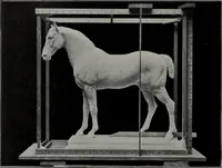 An illustration from Modelling; a guide for teachers and students (1902)