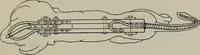An illustration from Modelling; a guide for teachers and students (1902)