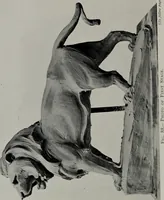 An illustration from Modelling; a guide for teachers and students (1902)