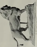 Picture 95 of 225 from Modelling; a guide for teachers and students (1902), leaf 176