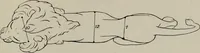 Picture 96 of 225 from Modelling; a guide for teachers and students (1902), leaf 178