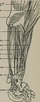 An illustration from Modelling; a guide for teachers and students (1902)