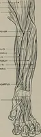An illustration from Modelling; a guide for teachers and students (1902)
