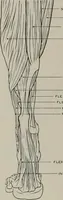 An illustration from Modelling; a guide for teachers and students (1902)