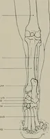 An illustration from Modelling; a guide for teachers and students (1902)
