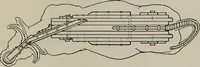 An illustration from Modelling; a guide for teachers and students (1902)
