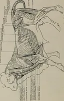 An illustration from Modelling; a guide for teachers and students (1902)