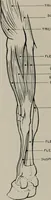 An illustration from Modelling; a guide for teachers and students (1902)