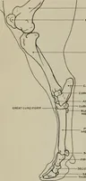 An illustration from Modelling; a guide for teachers and students (1902)