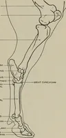 An illustration from Modelling; a guide for teachers and students (1902)