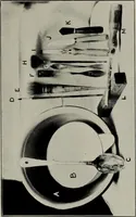 An illustration from Modelling; a guide for teachers and students (1902)