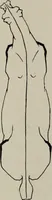 An illustration from Modelling; a guide for teachers and students (1902)