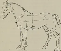 An illustration from Modelling; a guide for teachers and students (1902)