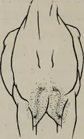 An illustration from Modelling; a guide for teachers and students (1902)