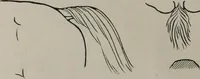 An illustration from Modelling; a guide for teachers and students (1902)