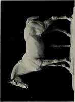An illustration from Modelling; a guide for teachers and students (1902)