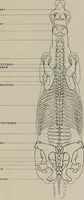 An illustration from Modelling; a guide for teachers and students (1902)