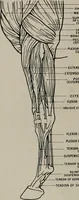 An illustration from Modelling; a guide for teachers and students (1902)