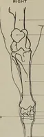Picture 57 of 225 from Modelling; a guide for teachers and students (1902), leaf 90