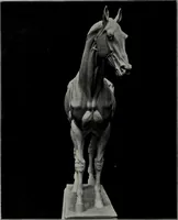 An illustration from Modelling; a guide for teachers and students (1902)