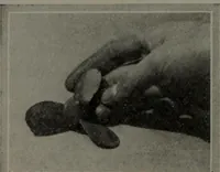 Picture 201 of 269 from Model making; including workshop practice, design and construction of models, a practical treatise for the amateur and professional mechanic .. (1919), leaf 299