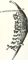 Picture 54 of 89 from Models of ships and boats (1913), leaf 230