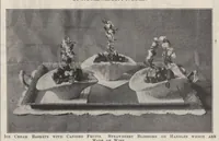 Picture 8 of 18 from The Modern Priscilla [partial] (June, 1910) (1910), leaf 17
