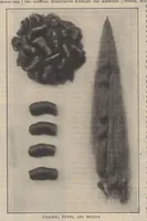 Picture 10 of 14 from The Modern Priscilla (December, 1910) (1910), leaf 43