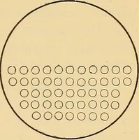 An illustration from Modern American locomotive engines; their design, construction and management. A practical work for practical men (1883)