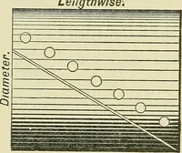 Picture 19 of 47 from Modern American locomotive engines; their design, construction and management. A practical work for practical men (1883), leaf 167