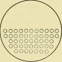 An illustration from Modern American locomotive engines; their design, construction and management. A practical work for practical men (1883)