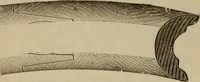 An illustration from The Modern bicycle and its accessories; a complete reference book for rider, dealer, and maker (1898)