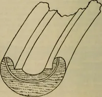 An illustration from The Modern bicycle and its accessories; a complete reference book for rider, dealer, and maker (1898)
