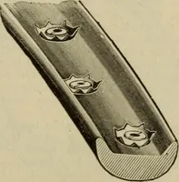 An illustration from The Modern bicycle and its accessories; a complete reference book for rider, dealer, and maker (1898)