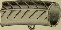 An illustration from The Modern bicycle and its accessories; a complete reference book for rider, dealer, and maker (1898)