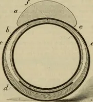 An illustration from The Modern bicycle and its accessories; a complete reference book for rider, dealer, and maker (1898)